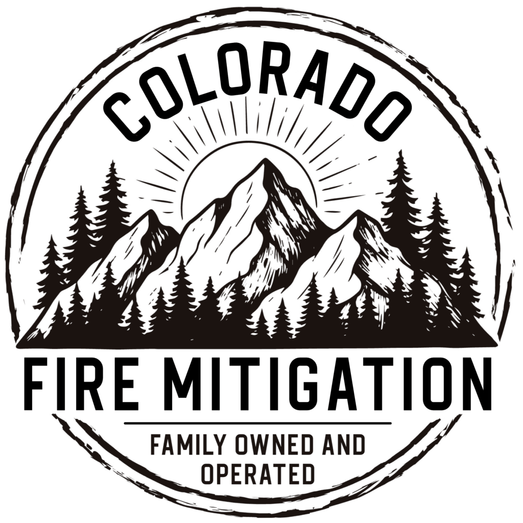 Logo transparent background_1